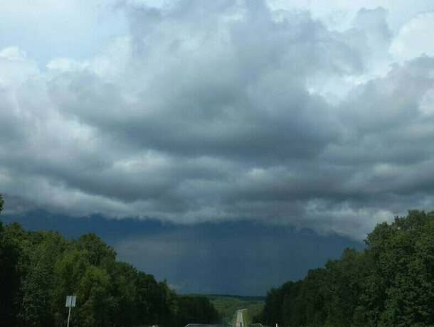 Дождь и ветер не отступают что готовит погода Амурской области 27 апреля