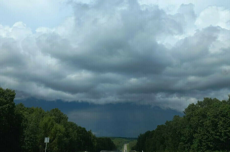 Дождь и ветер не отступают что готовит погода Амурской области 27 апреля