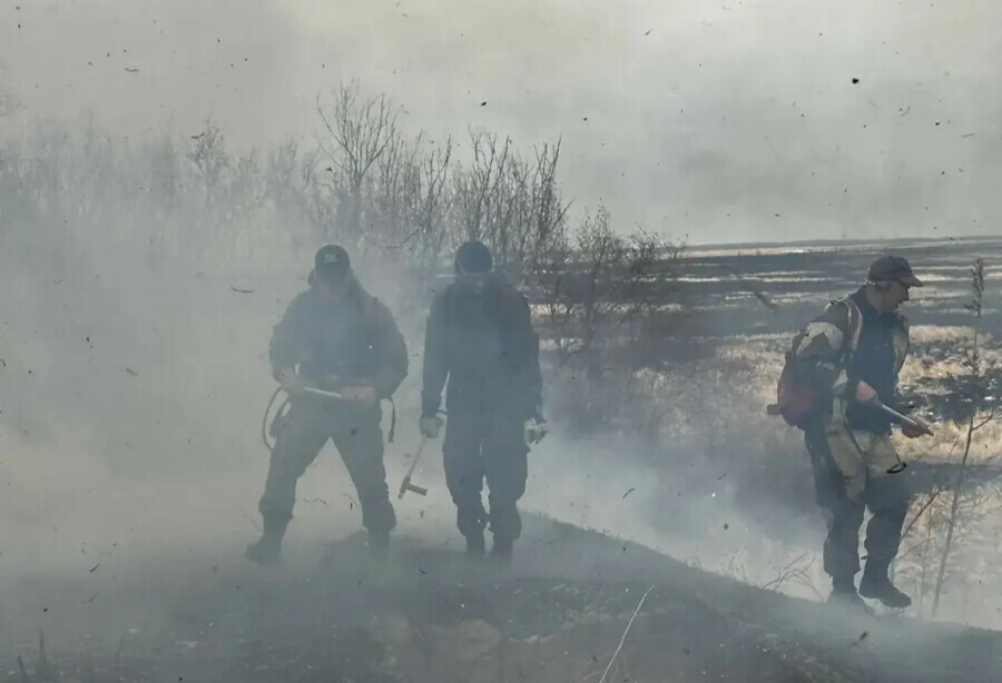 С начала месяца в Благовещенске потушили 29 палов