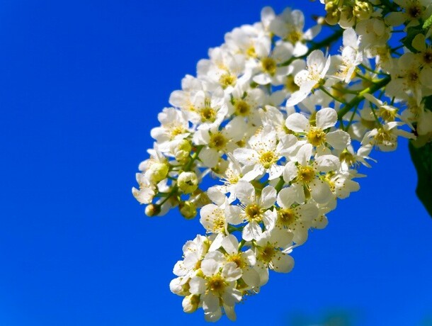 Первые майские могут не порадовать амурчан погодой синоптики дали прогноз 