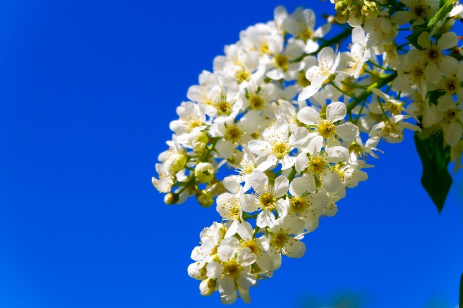 Первые майские могут не порадовать амурчан погодой синоптики дали прогноз 