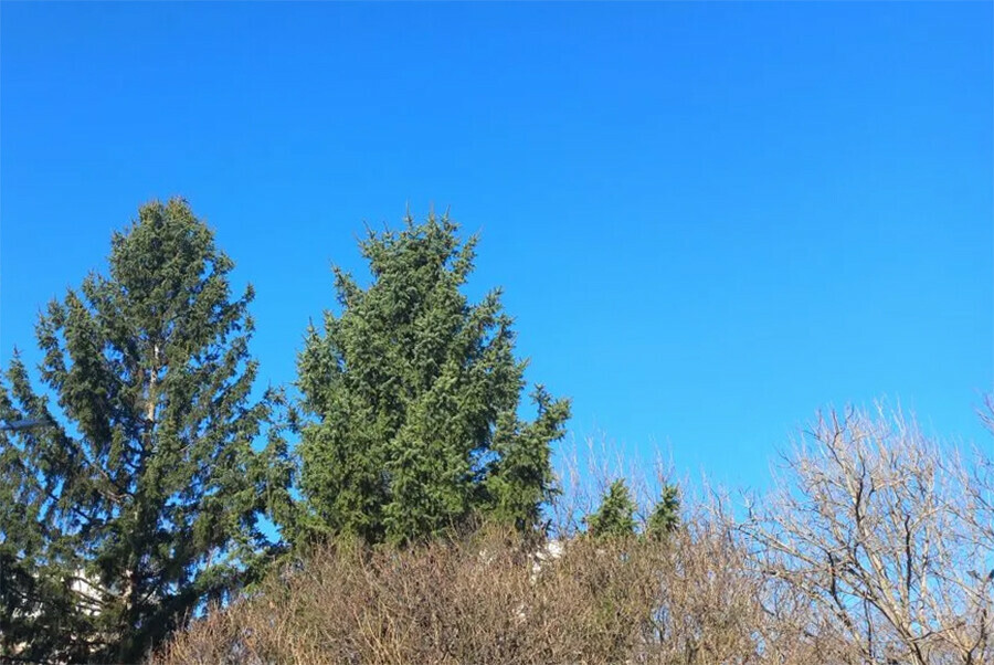 Прогноз погоды в Амурской области на 28 апреля