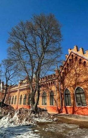 Стало известно когда элементы благовещенской Мавритании будут окрашивать в белый цвет