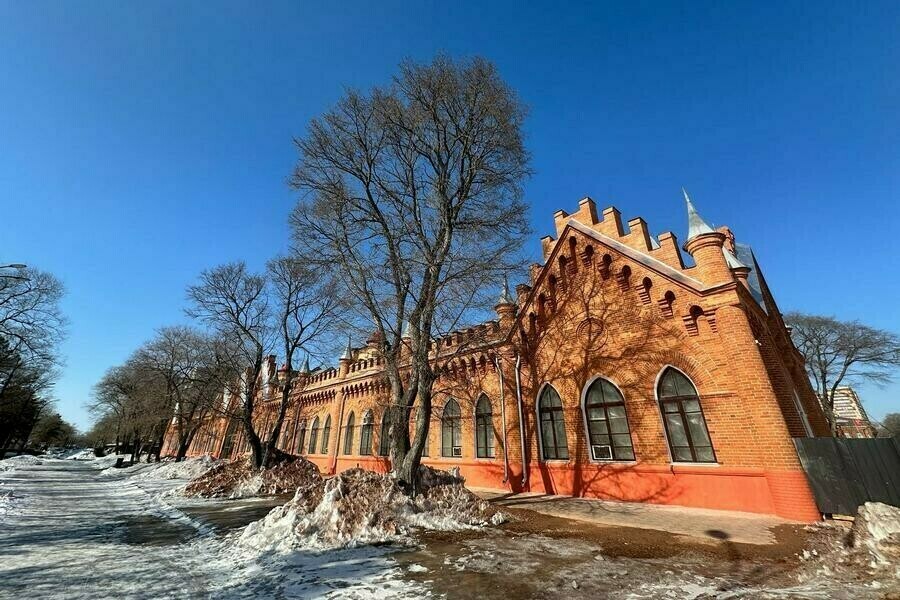 Стало известно когда элементы благовещенской Мавритании будут окрашивать в белый цвет