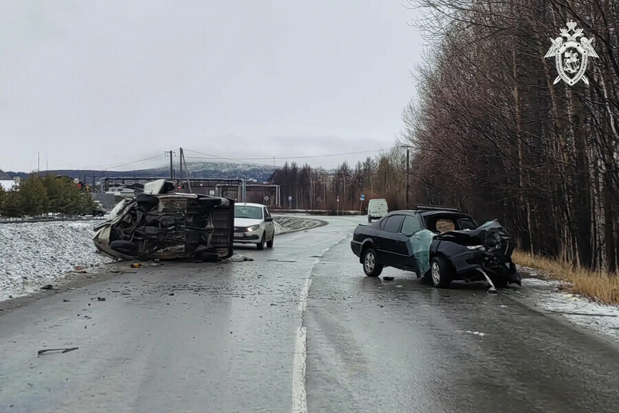 ДТП с двумя погибшими в Тынде устроила пьяная женщина