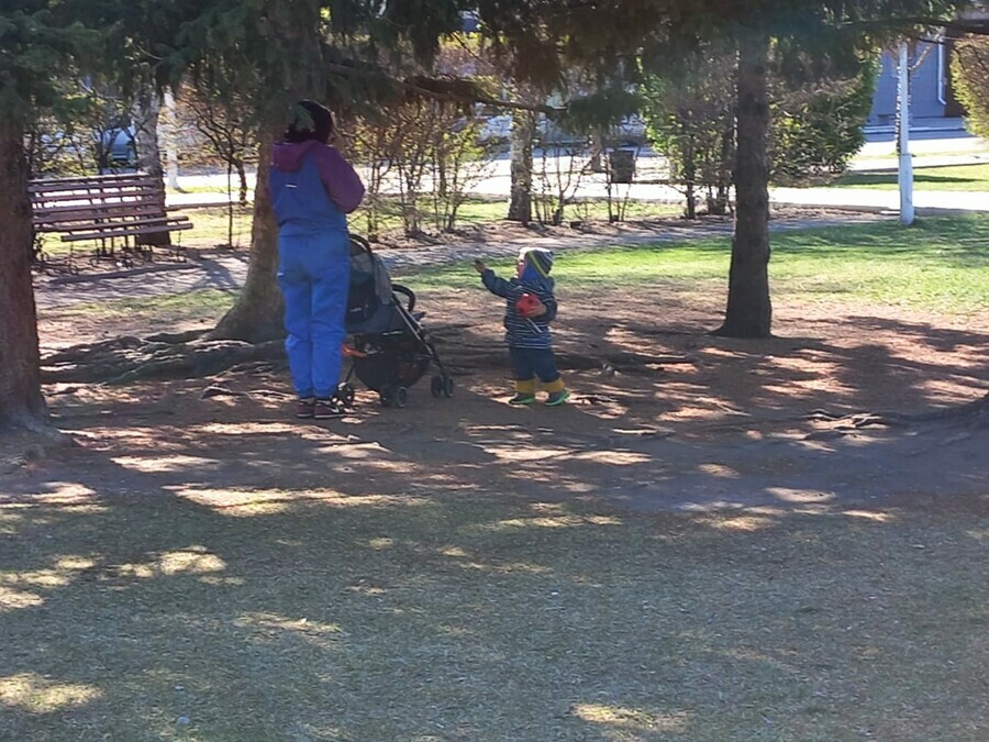 Прогноз погоды в Амурской области на 29 апреля