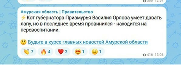 Канал правительства Приамурья кот губернатора Василия Орлова провинился 