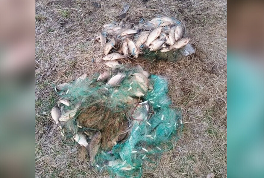 В Амурской области рыбака наказали за карасей 