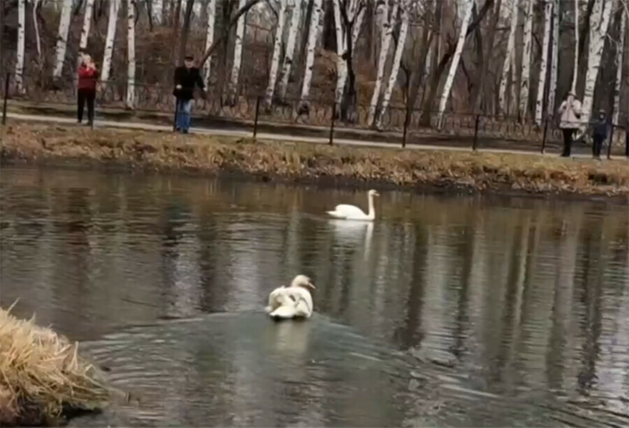  На озеро в амурском селе выпустят Петра и Февронию