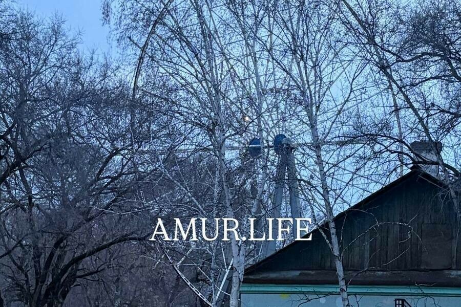 Как в Чернобыле благовещенцы прогулялись по городскому парку Благовещенска фото 