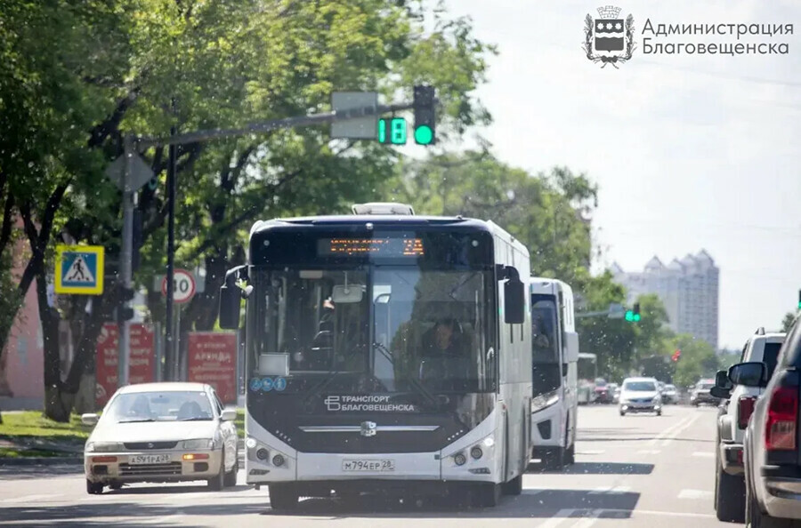 Автобусы повезут благовещенцев в сады Расписание на Amurlife  