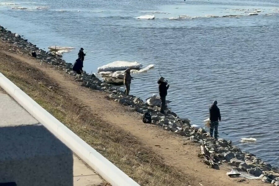 Мэра Благовещенска порадовали рыбаки но он выразил опасение 