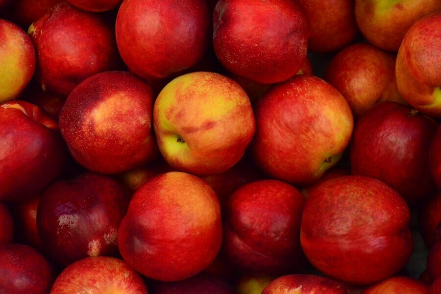 Килограмм  тысяча штука  300 рублей что сказал полпред президента РФ увидев дальневосточный ценник на яблоки