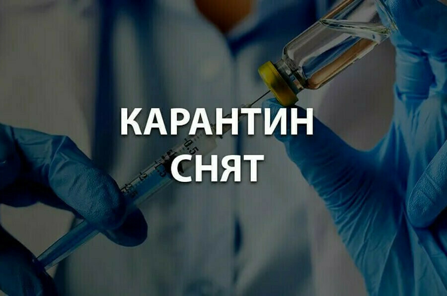 Карантин по бешенству сняли в Приамурье   