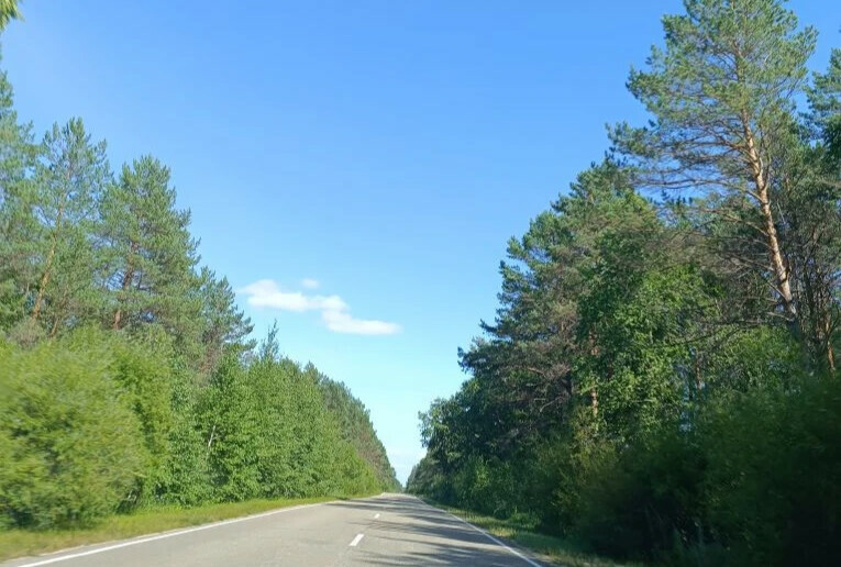 До плюс 17 каким будет воскресенье в Амурской области