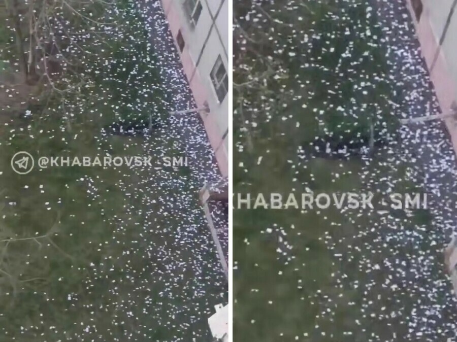 Женщина усыпала обрывками бумаги весь двор в Хабаровске