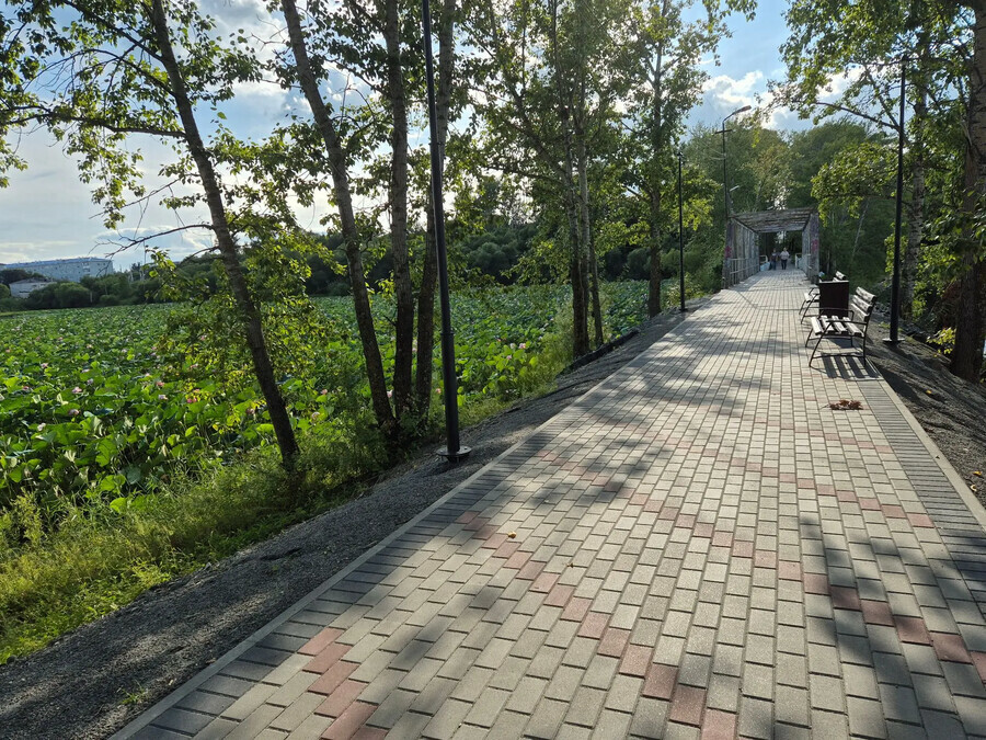Сквер в Амурской области назвали в честь креветки