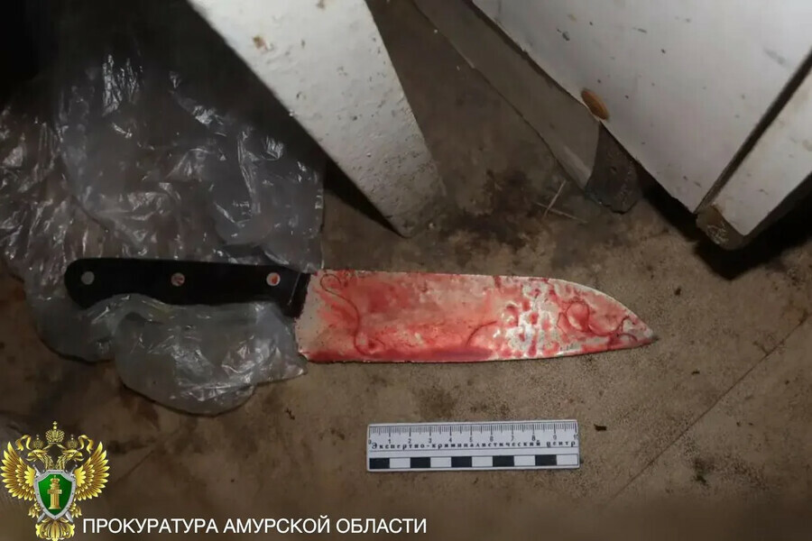 Прокуратура показала кровавые фотографии с места жестокого убийства в Свободном