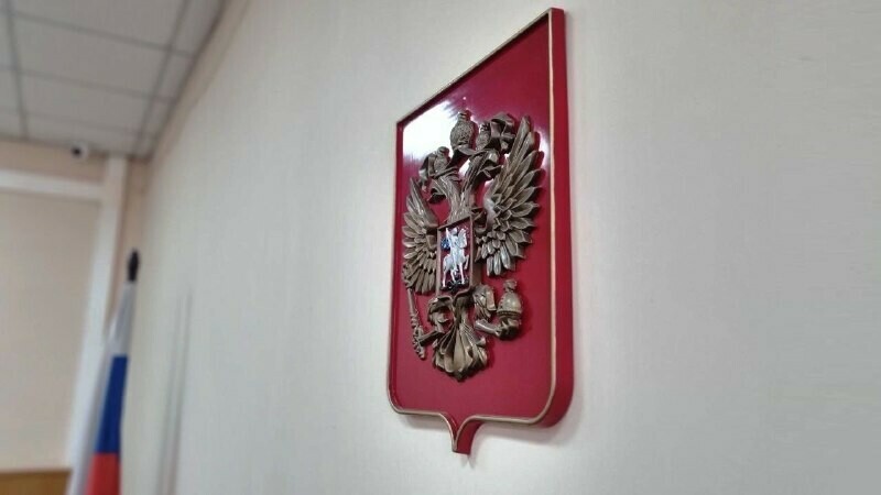 Молодая но опытная мошенница из Приамурья обманывала студентов по всей стране