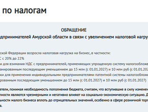 Амурские предприниматели составили обращение против роста налогов