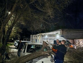 Дерево упало на машину в Благовещенске фото 