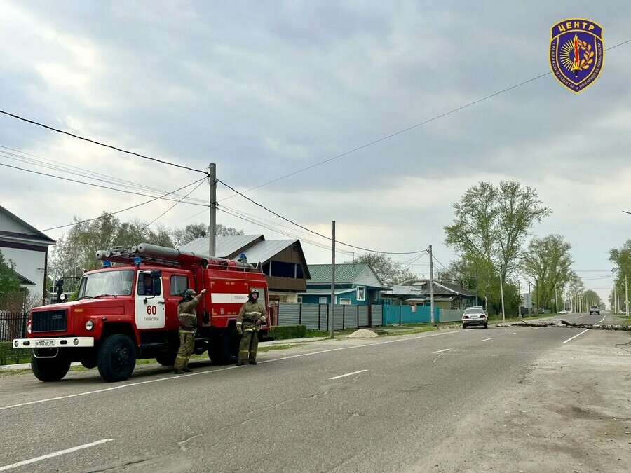 В Тамбовке сильный ветер повалил дерево на ЛЭП