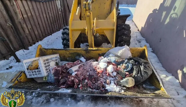 Животных убивали негуманным способом в сельхозкооперативе в Чигирях выявили серьезные нарушения