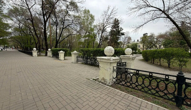 От сквера Белоглазова до Огорода амурчане высказали свои мнения о названиях сквера около ЦЭВа 