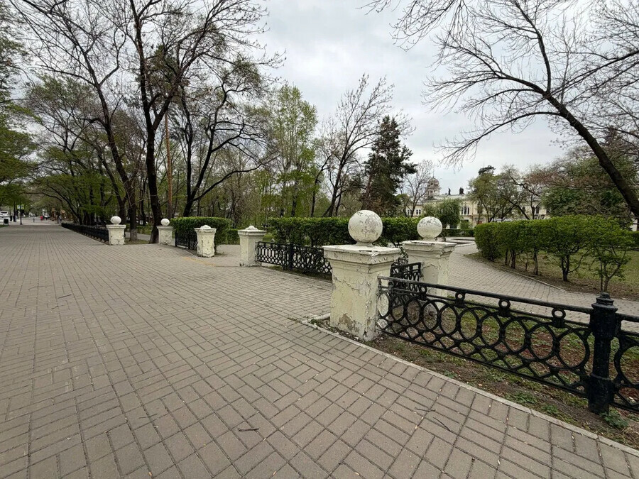От сквера Белоглазова до Огорода амурчане высказали свои мнения о названиях сквера около ЦЭВа 