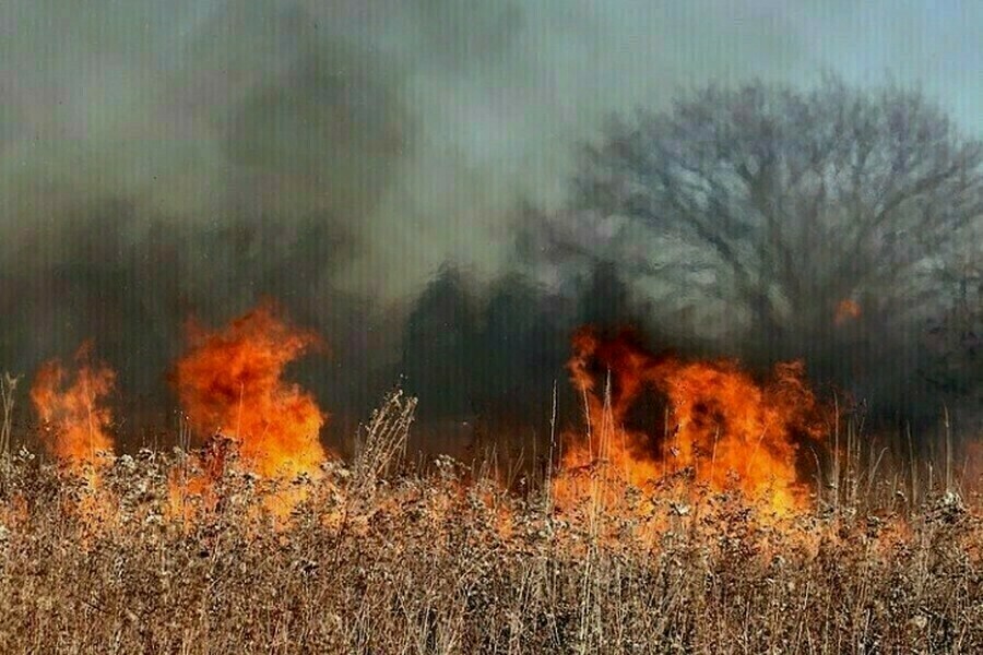 Где тушили пожары в Амурской области 