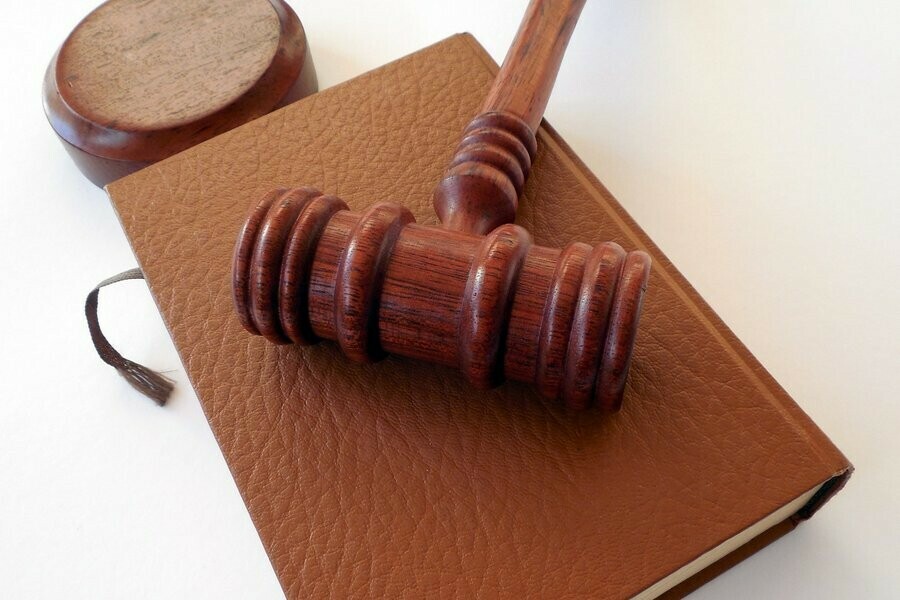 Амурчанка не стала платить алименты сыну долг превысил полмиллиона 