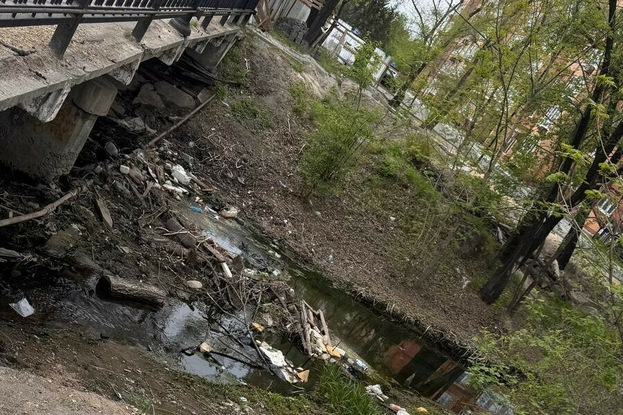 Краснокнижные птицы поселились среди мусора в Благовещенске видео