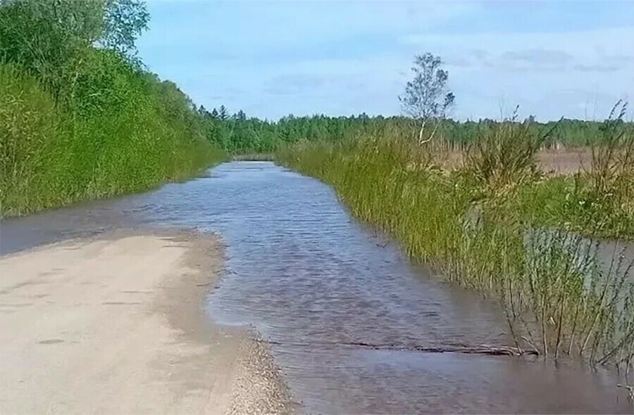 В Амурской области вода отрезала село от большой земли Возможности восстановить проезд пока нет