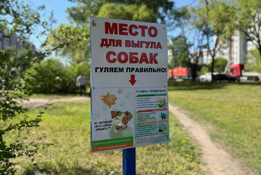 В Благовещенске начинают строить площадку с горками и качелями для собак