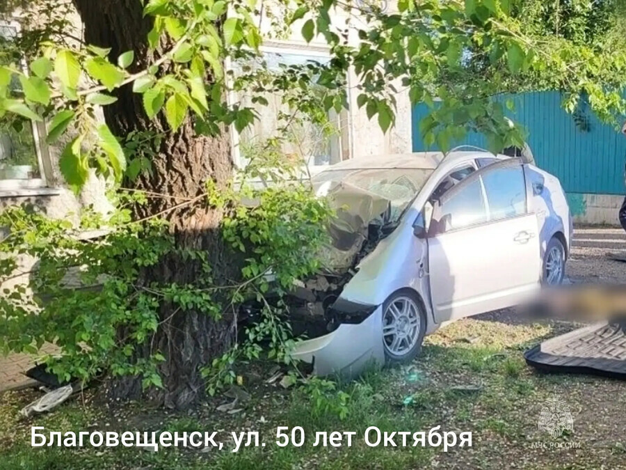 В Благовещенске автомобиль влетел в дерево есть погибшие