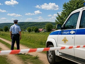 Человеческие останки нашли близ амурского села Личность установлена