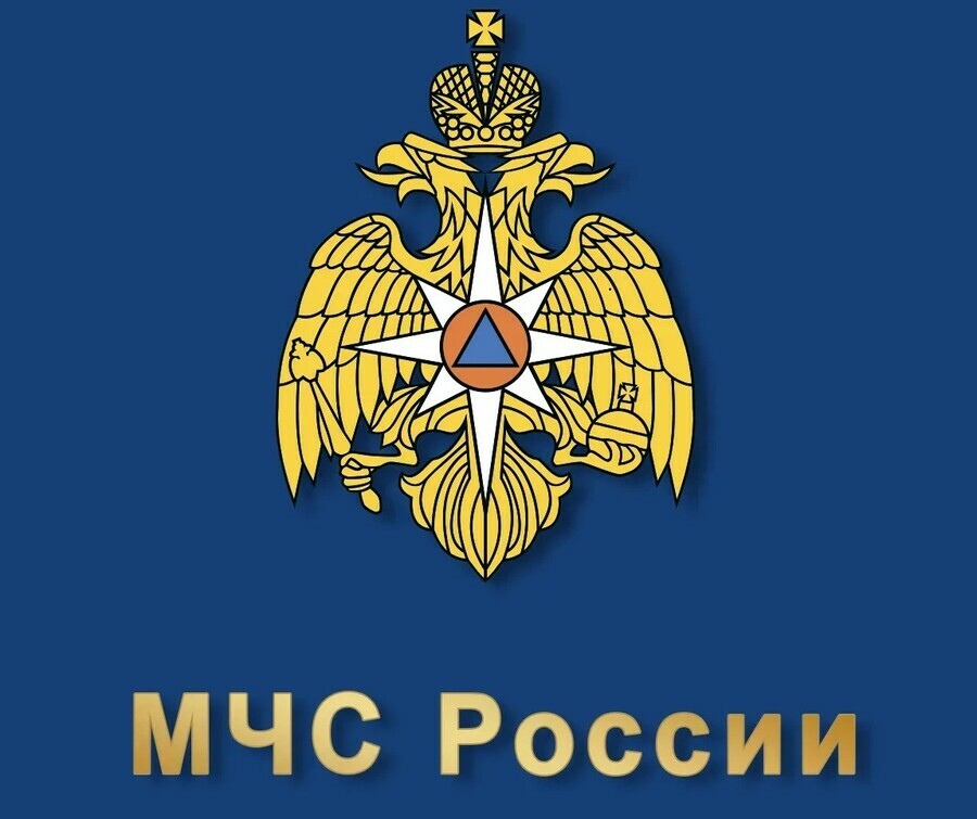 В МЧС России опровергли информацию о запрете телефонов на АЗС