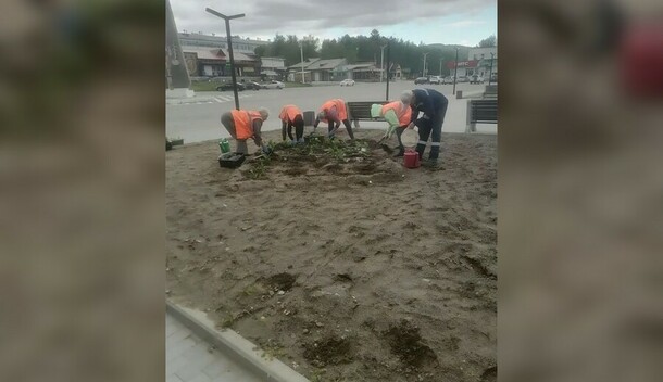 Успели потоптаться дети и взрослые портят красоту в Зее