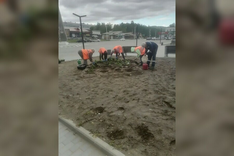 Успели потоптаться дети и взрослые портят красоту в Зее