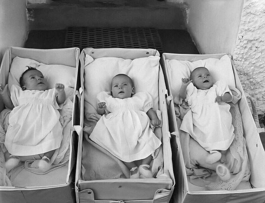 Родители тройняшек в Приамурье могут получить 3 миллиона рублей