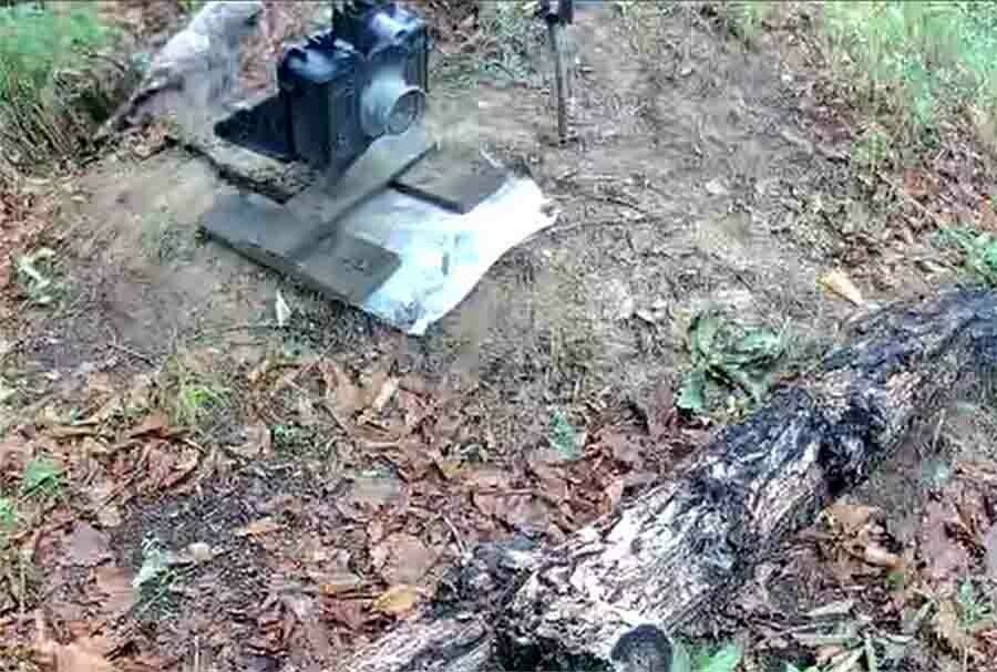 В лесу Амурской области сова сняла видео и камера перегорела видео 