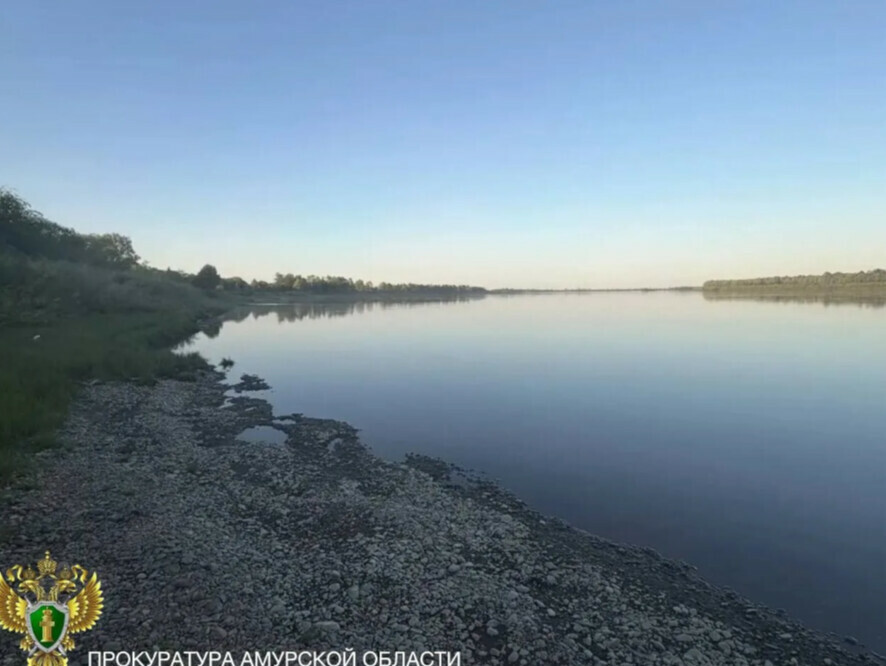 По факту гибели девочки в Амурской области организована проверка