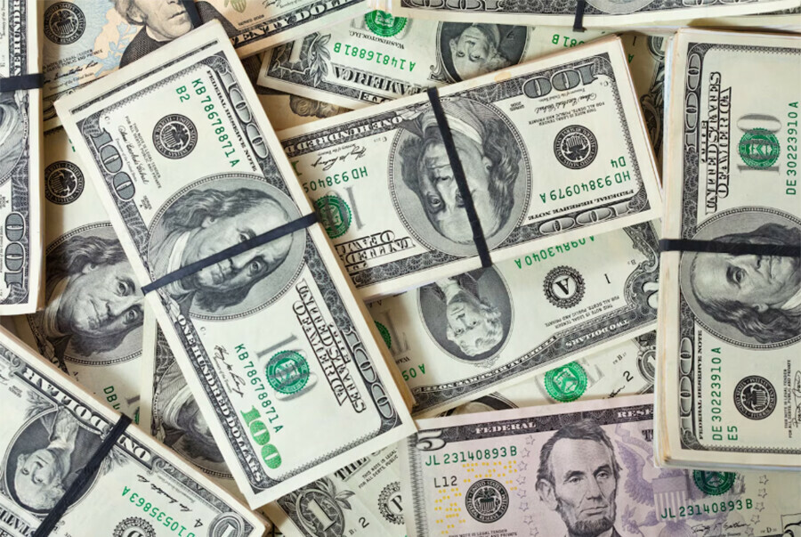 Почти 200 миллионов рублей вывели за границу двое благовещенцев