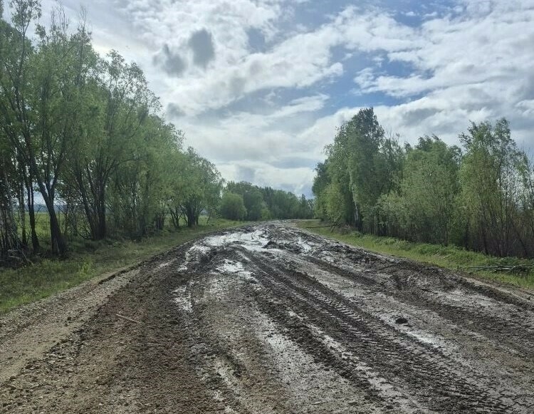 Дети в резиновых сапогах пробираются на экзамены сквозь километровую грязь ЛДПР требует прекратить дорожную блокаду Зейского округа