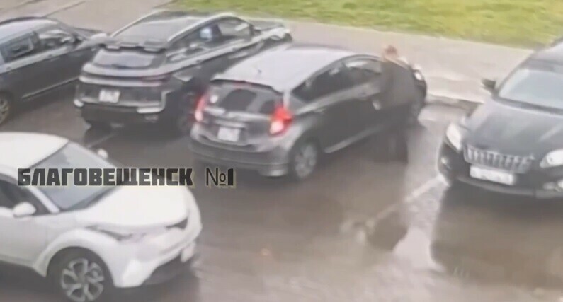 Благовещенка заявила о серии конфликтов с чиновницей и обратилась в полицию Инцидент попал на видео