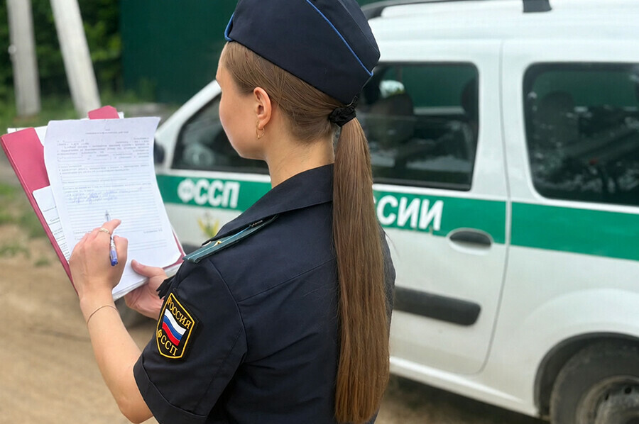 Амурчанина заставили освободить землю в садовом товариществе