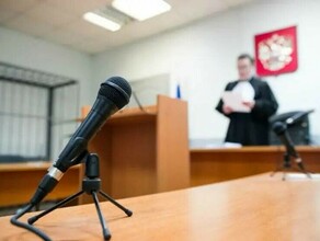 Амурский областной суд смягчил приговор по серьезному преступлению 