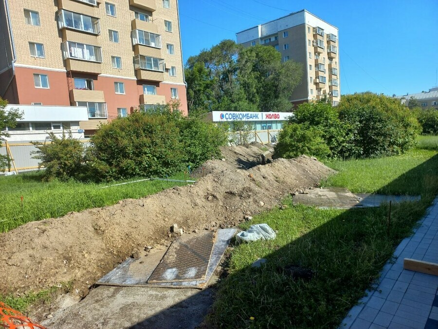 На территории большой зеленой зоны в центре Благовещенска идут масштабные работы Жители переживают за растения фото видео