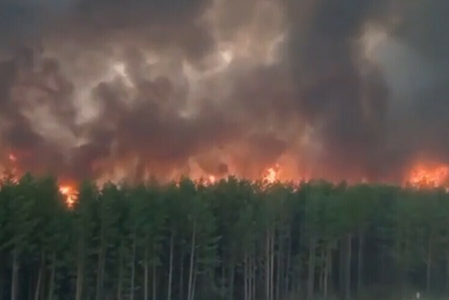 В 11 округах Амурской области в июле прогнозируют повышенную пожарную опасность 