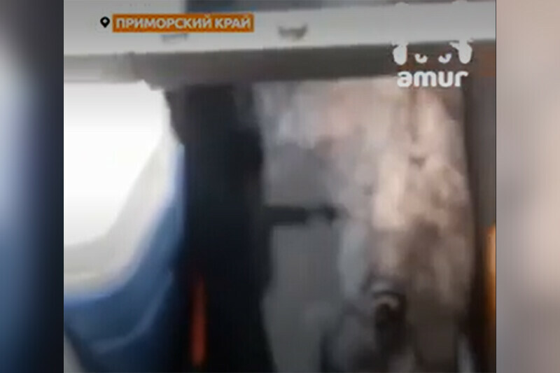 Громадный тунец пробил лодку рыбакам в Приморье видео